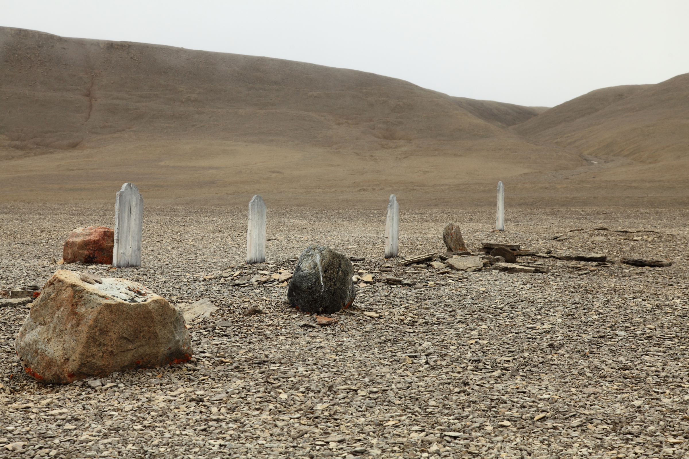353 lady franklin island, nunavut.webp